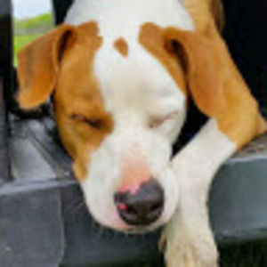 Meet your Posher, Matt